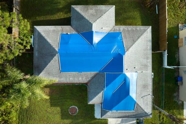 Roof Coating Services in Scanlon, MN
