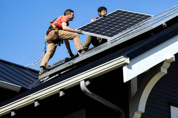 Best Asphalt Shingles Roofing  in Scanlon, MN