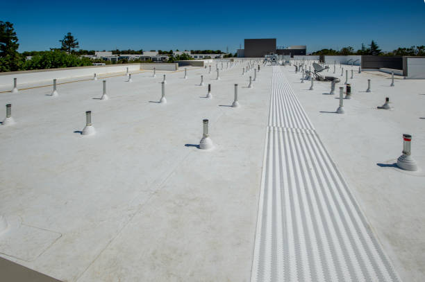 Best Wood Shake Roofing  in Scanlon, MN